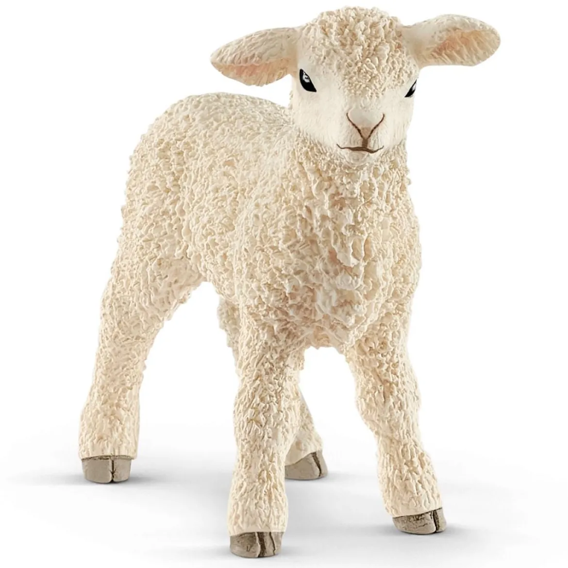 Agneau