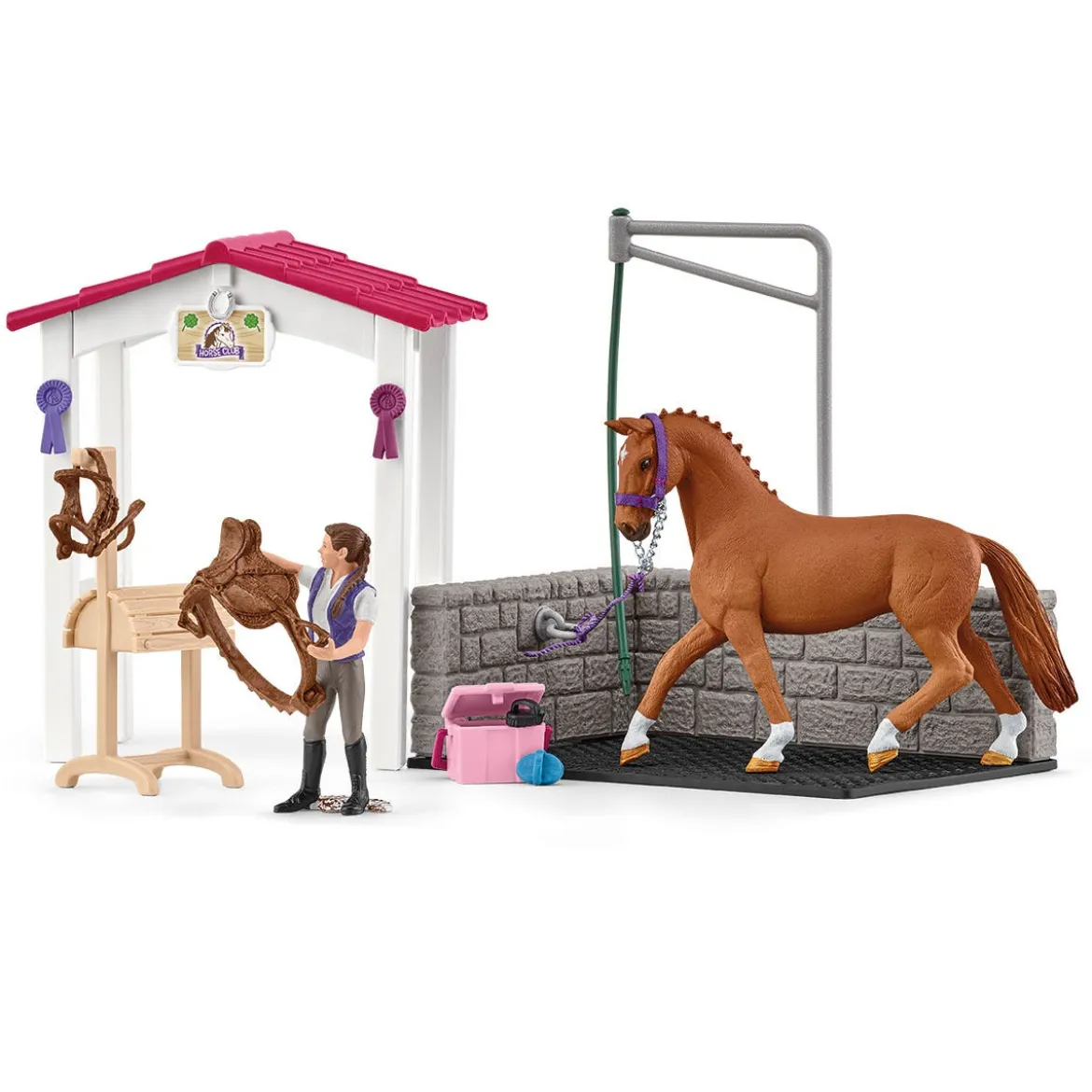 Aire De Lavage Avec Box À Cheval