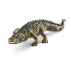 Alligator