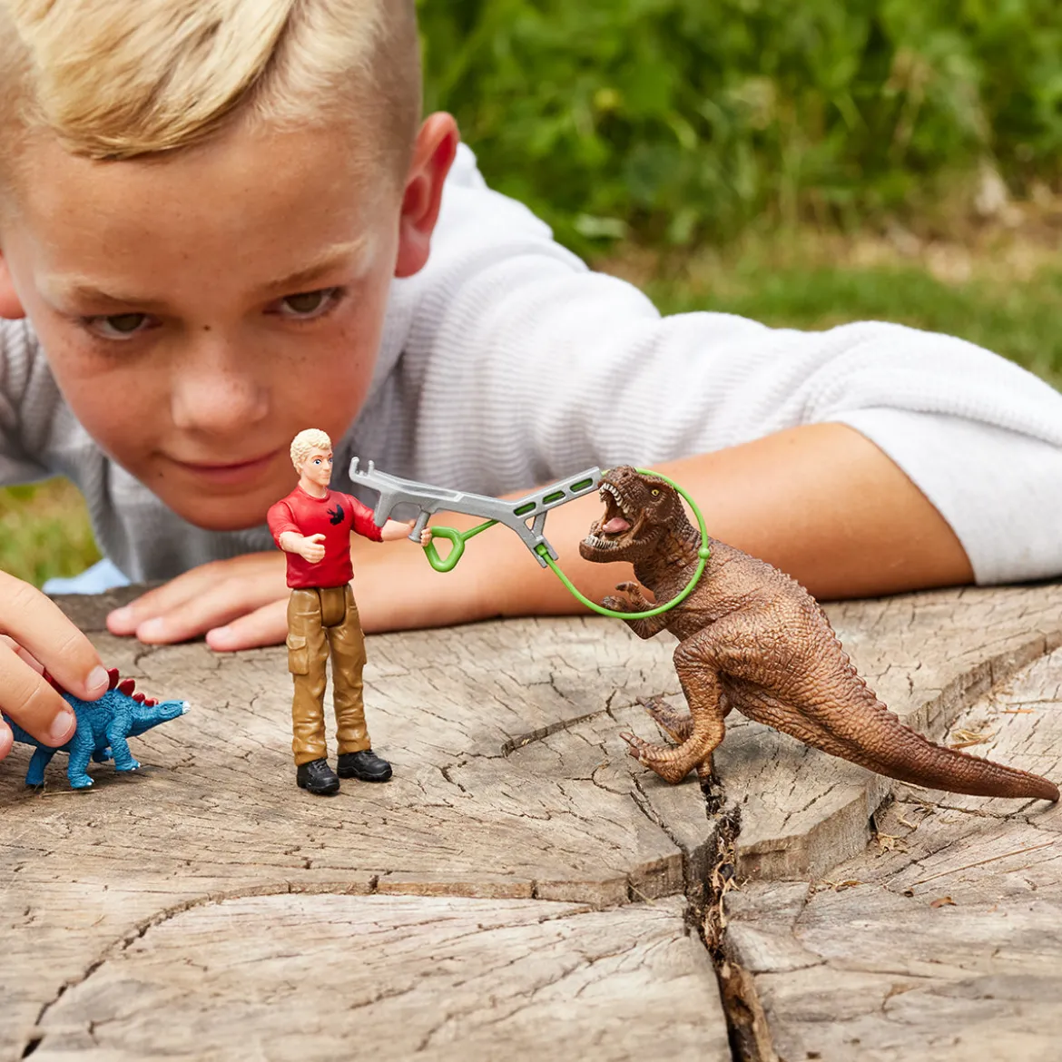 Attaque Tyrannosaure Rex