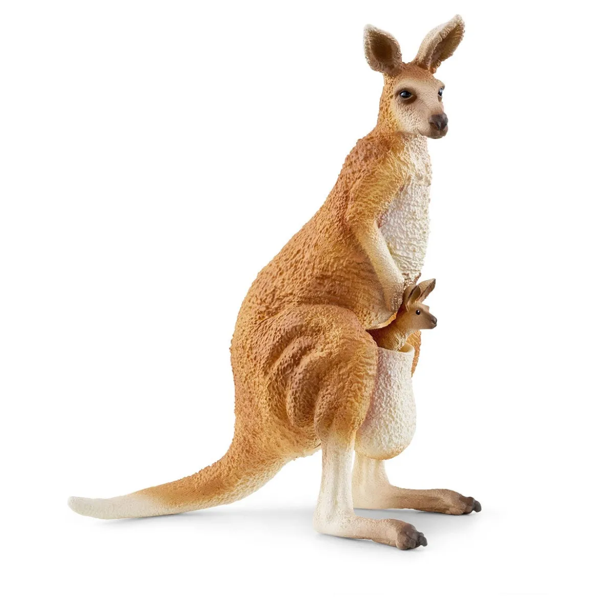 Aventure Dans L’Outback