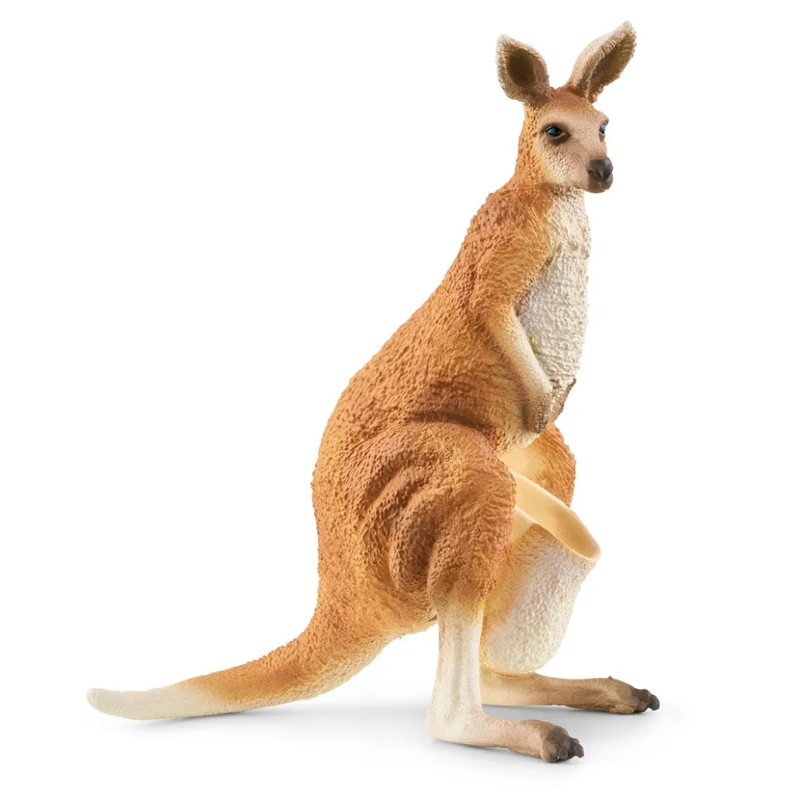 Aventure Dans L’Outback