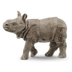 Bébé Rhinocéros Indien