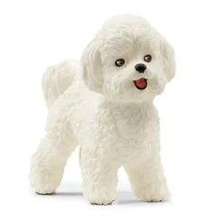 Bichon Frisé