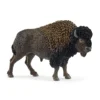 Bison