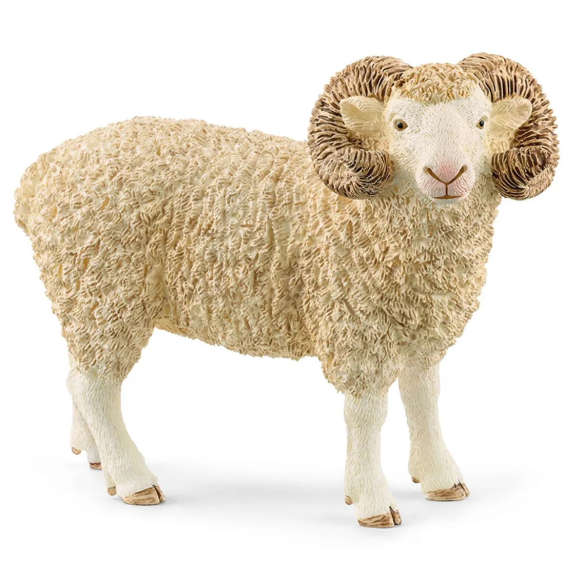 Bélier
