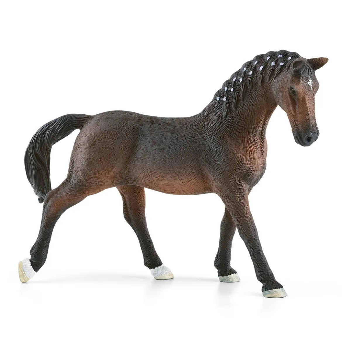 Boutique D’Équitation