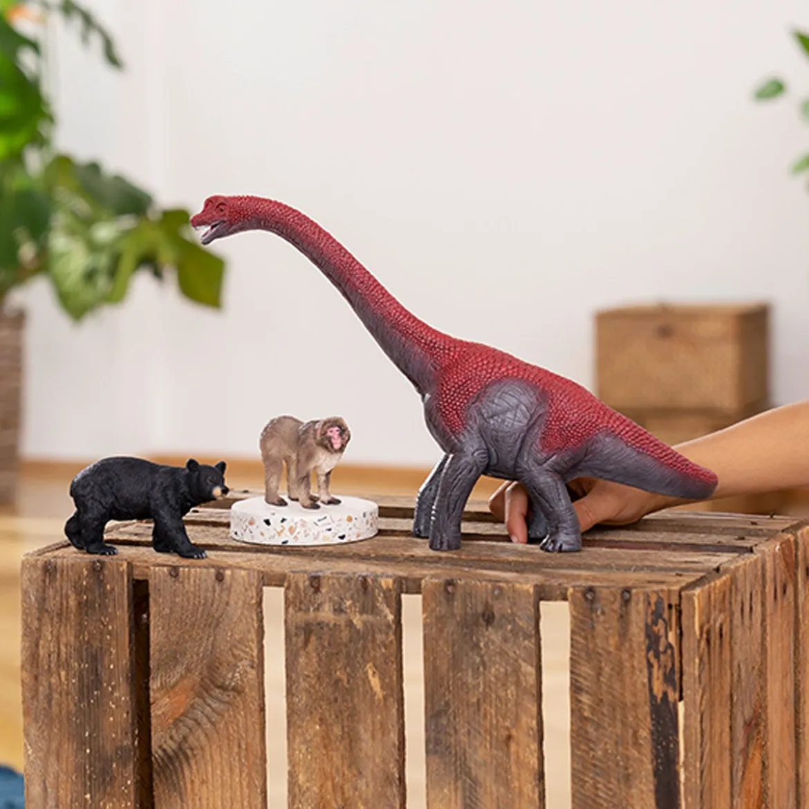 Brachiosaure