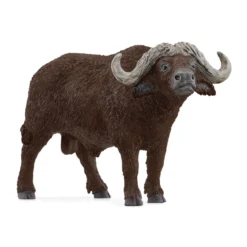 Buffle d’Afrique