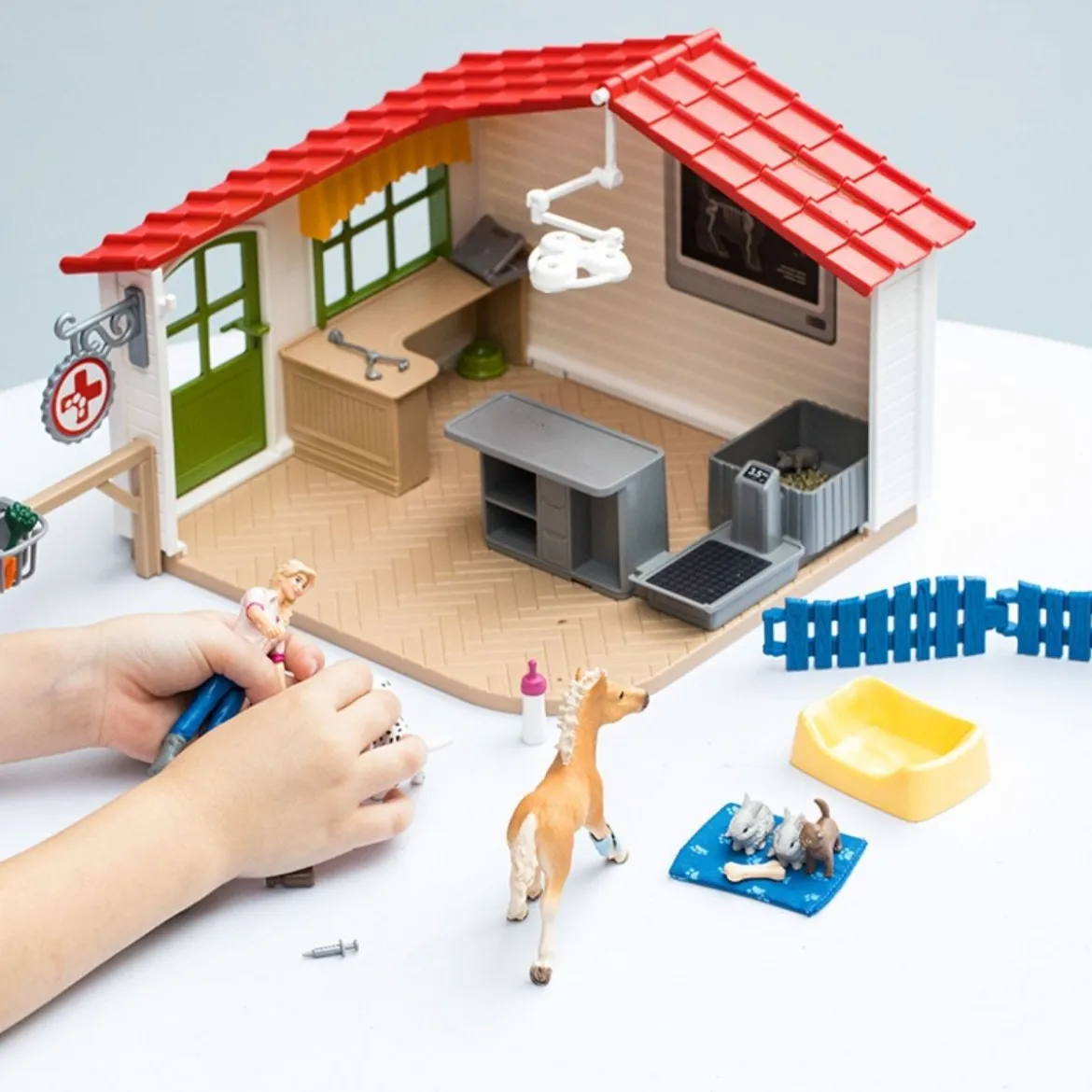 Cabinet vétérinaire avec animaux
