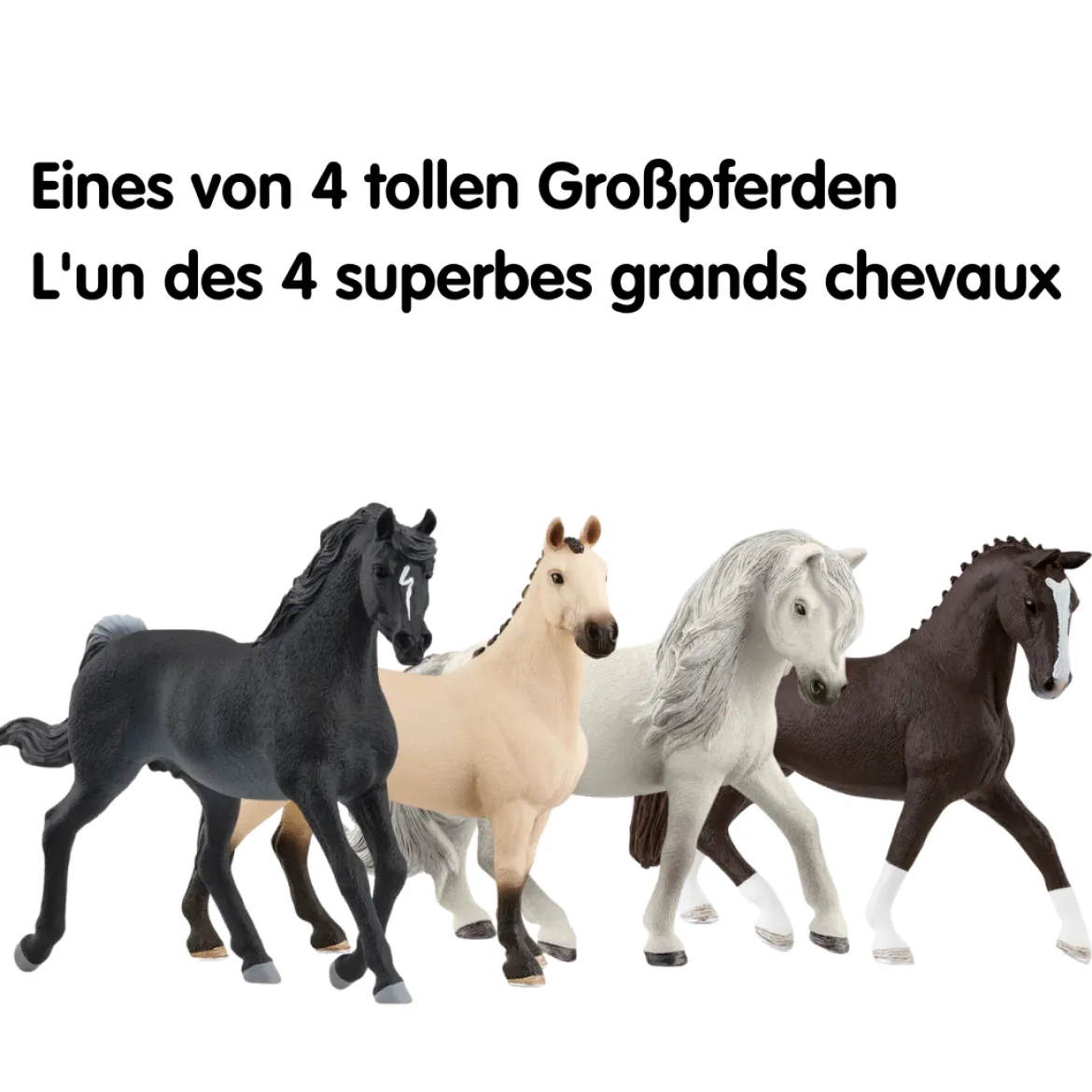 Calendrier de l'Avent Horse Club