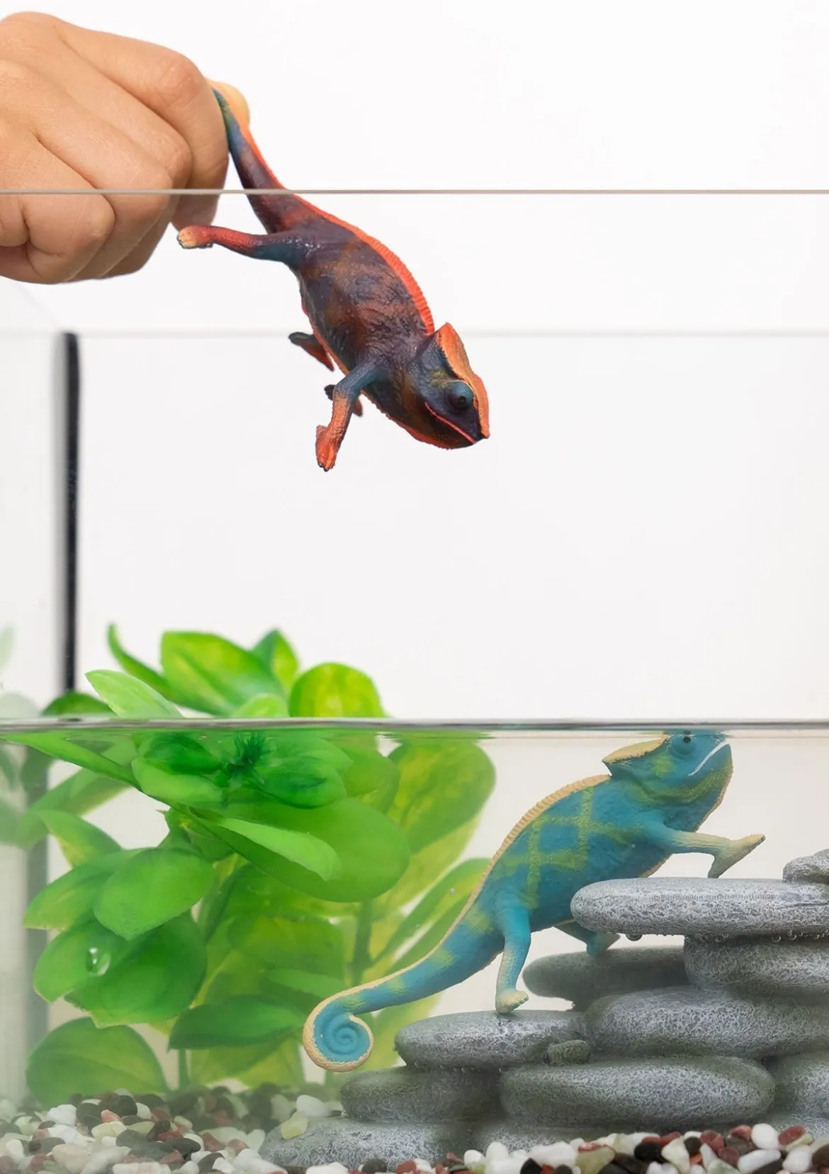 Caméléon