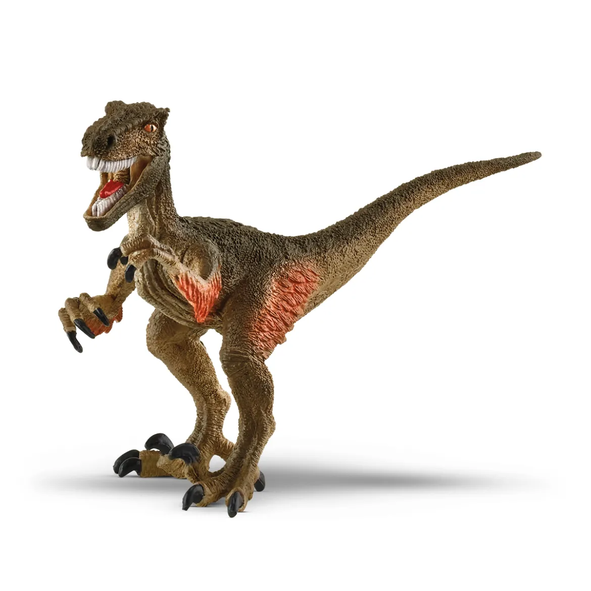 Capture des dinosaures