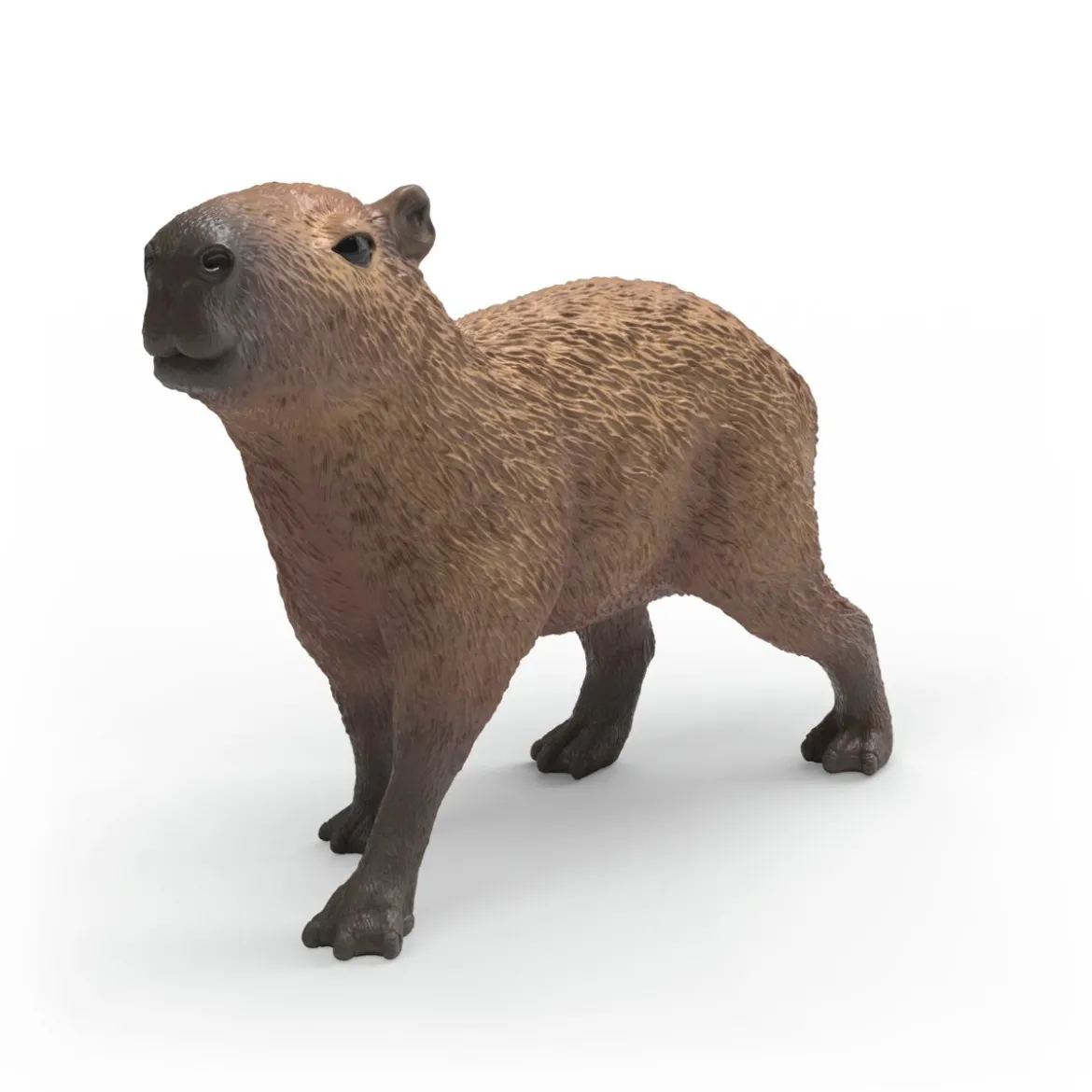 Capybara