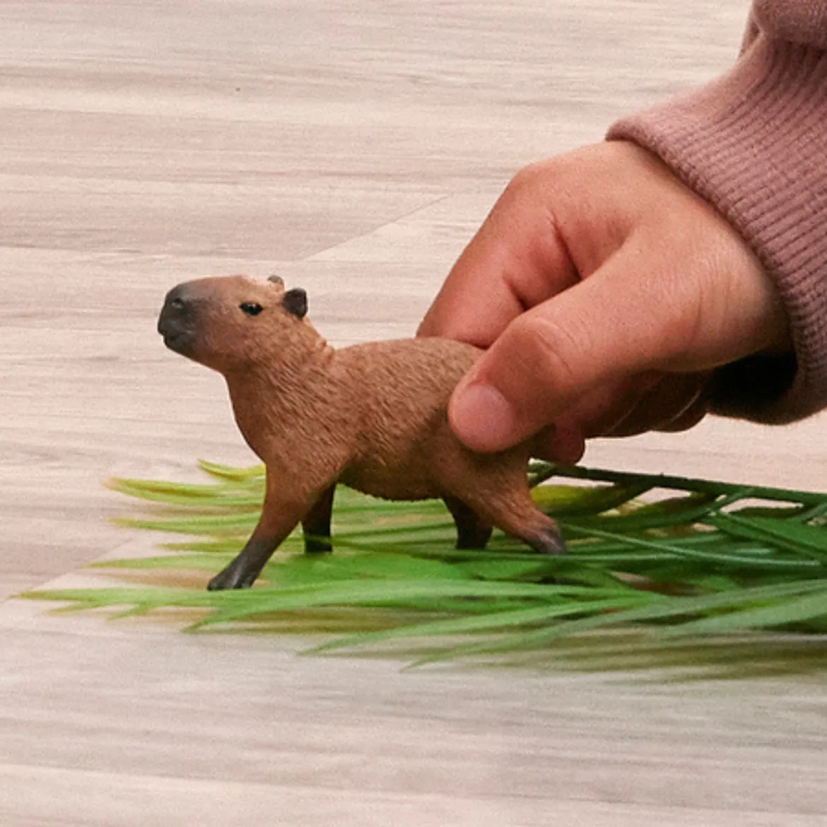 Capybara