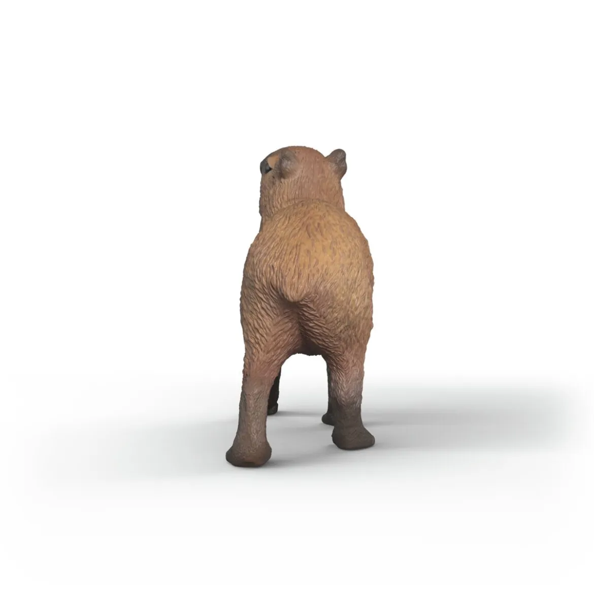 Capybara