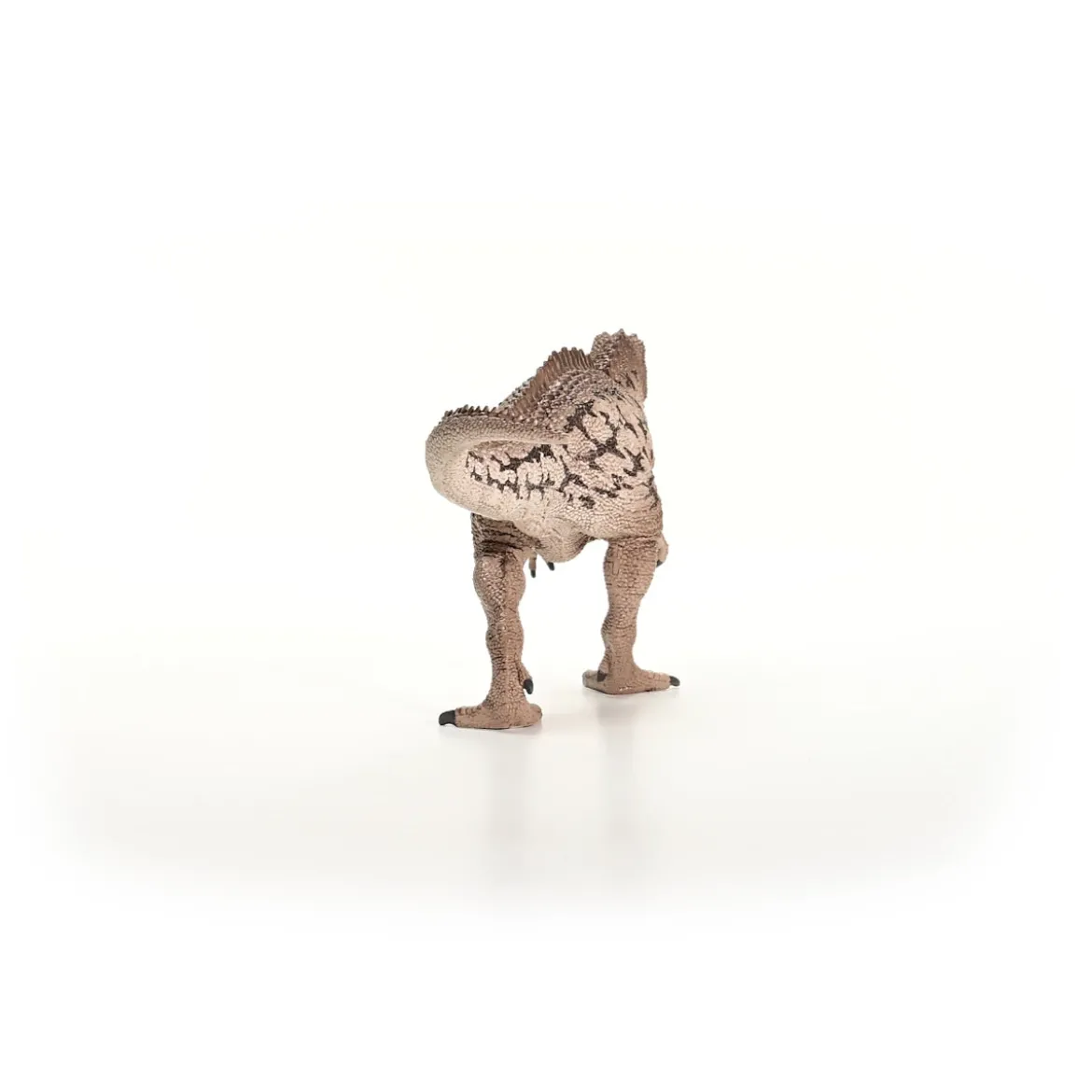 Carcharodontosaurus