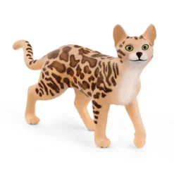 Chat Bengal