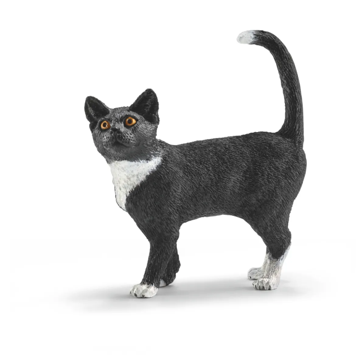 Chat debout (Bundle)