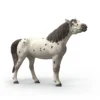 Cheval hongre knabstrupper