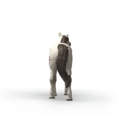 Cheval hongre knabstrupper