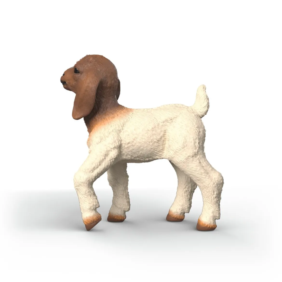 Chevreau Boer
