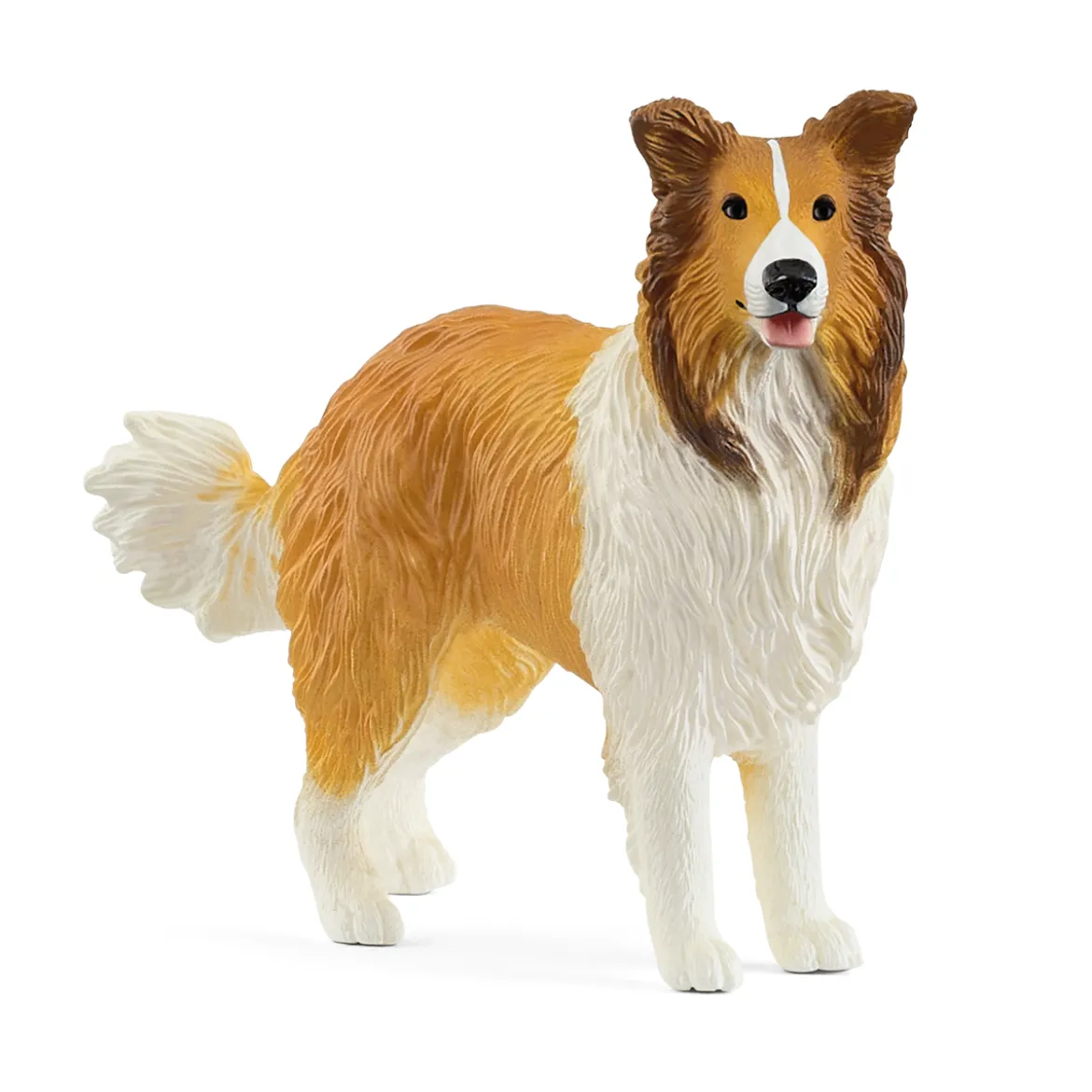 Chien Colley