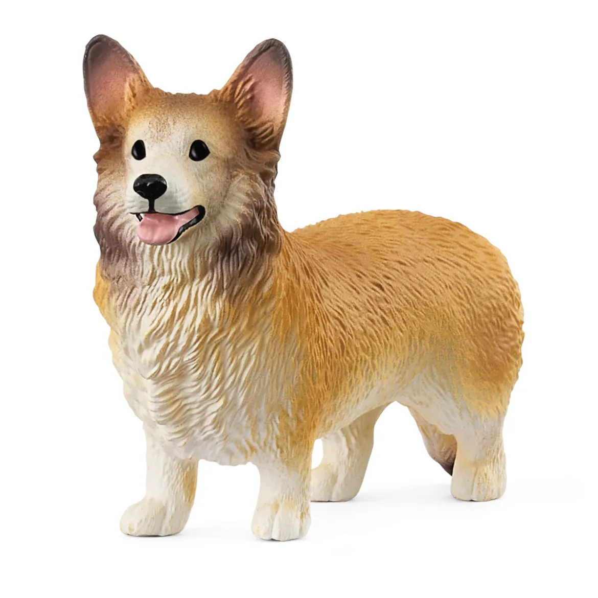 Chien Welsh Corgi