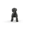 Chiot Labrador Retriever noir