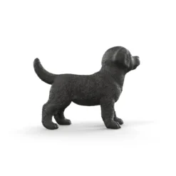 Chiot Labrador Retriever noir