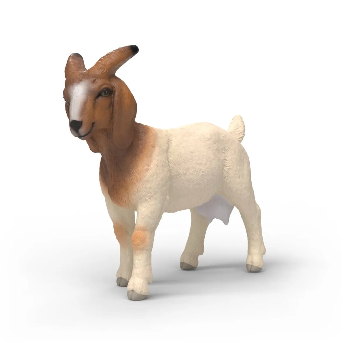 Chèvre Boer
