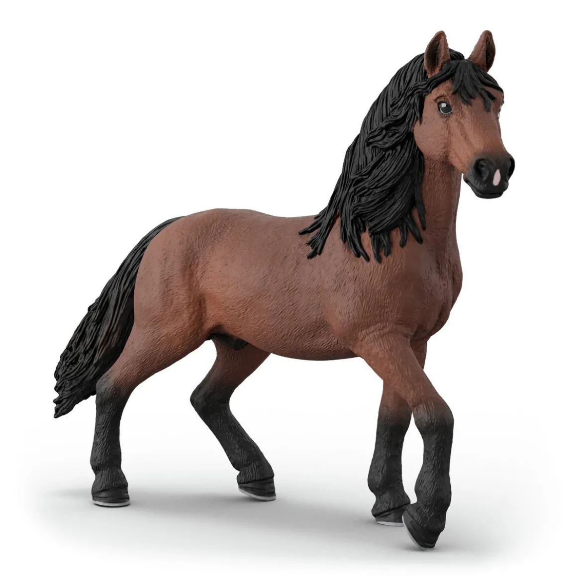 Clinique vétérinaire pour chevaux