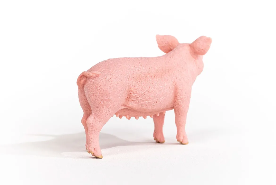 Cochon