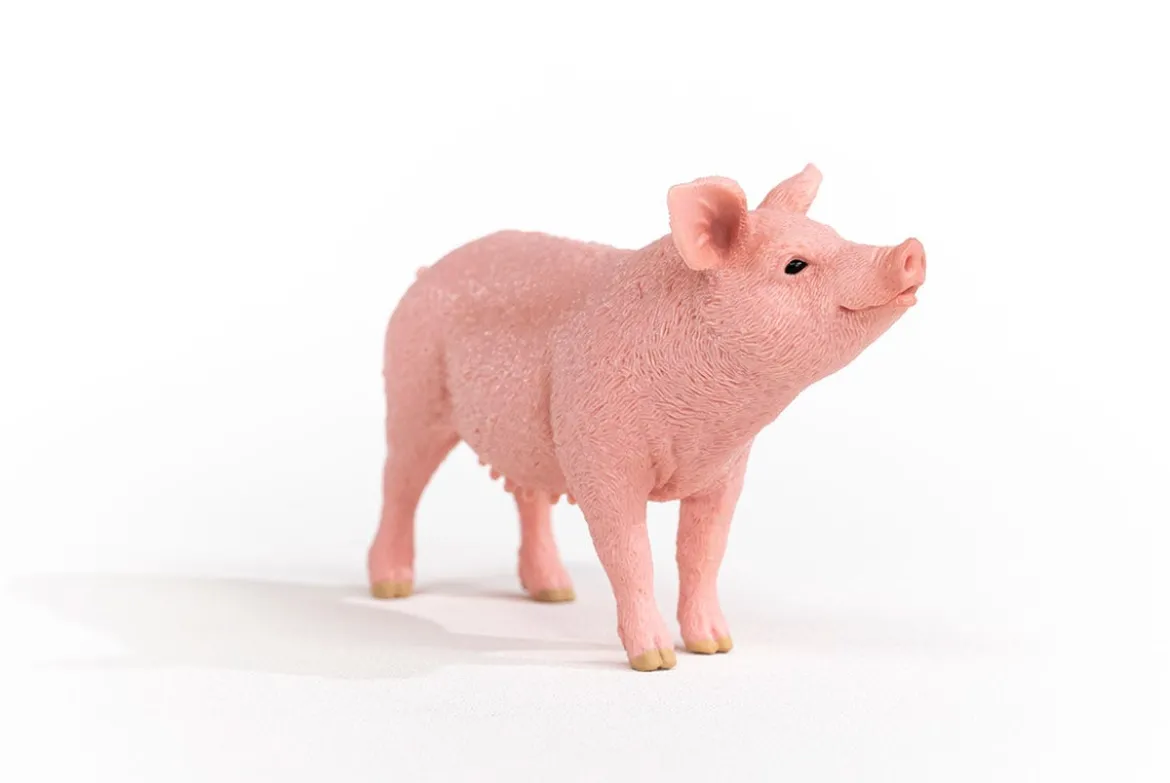 Cochon