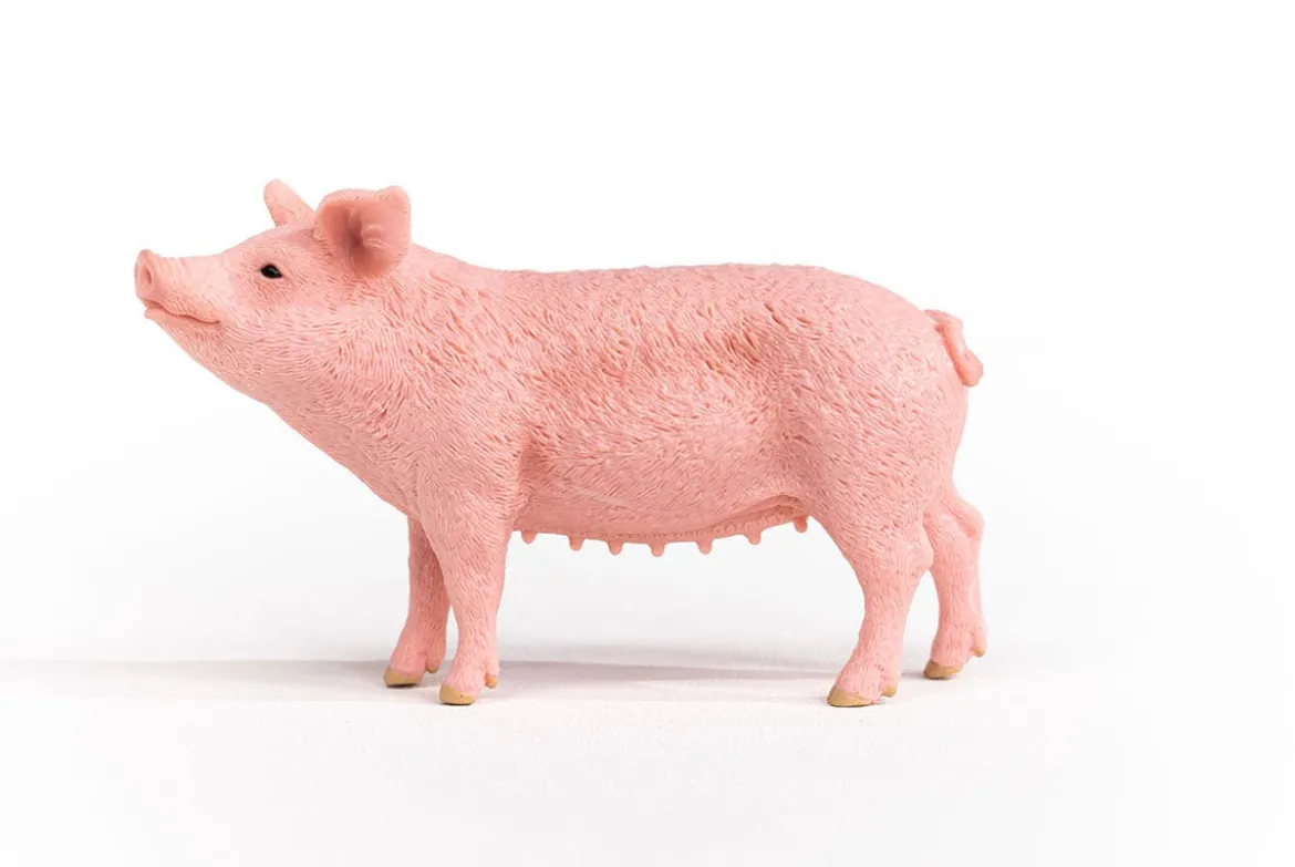 Cochon