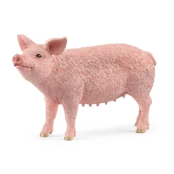 Cochon (Bundle)