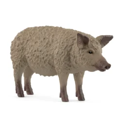 Cochon Mangalica