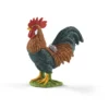 Coq (Bundle)