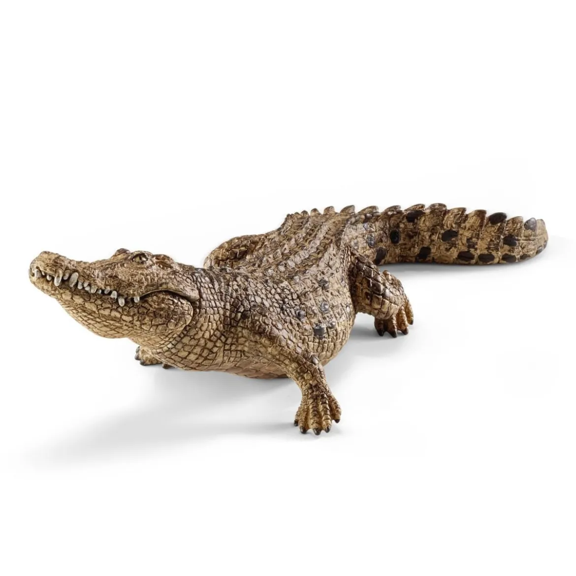 Crocodile