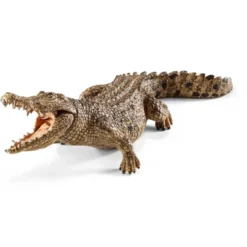 Crocodile