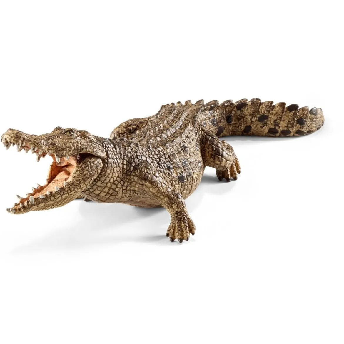 Crocodile