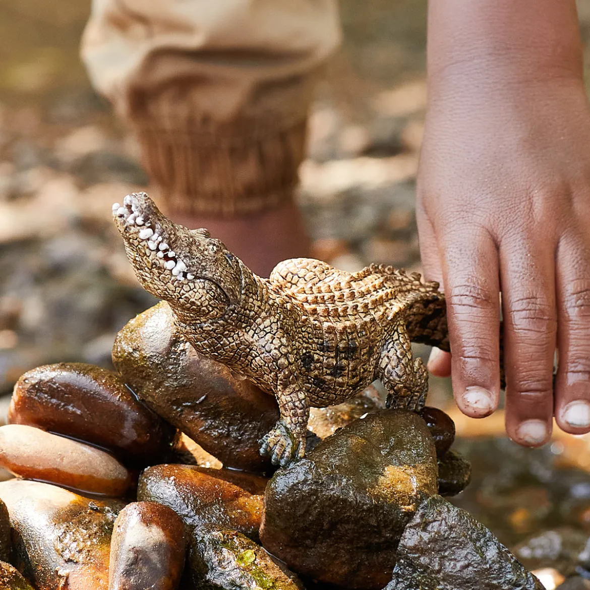Crocodile