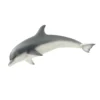 Dauphin (Bundle)