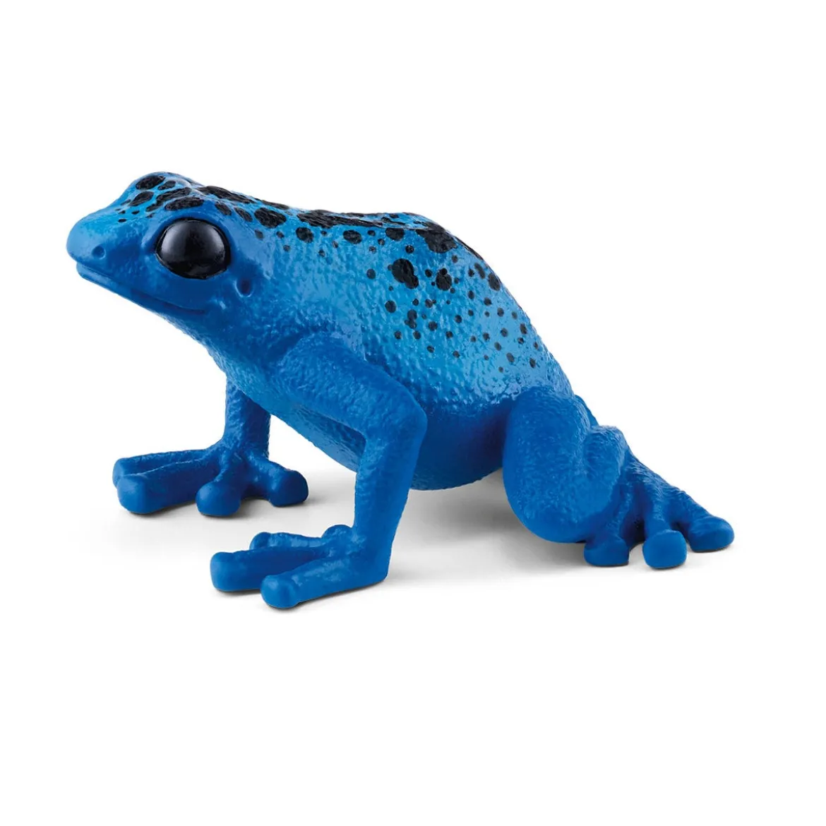 Dendrobate à Tapirer