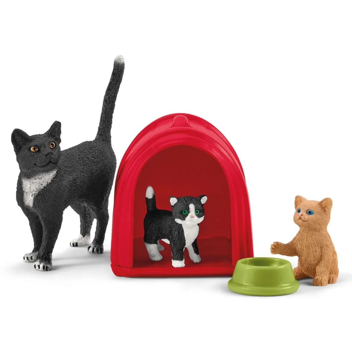 Divertissement pour chats mignons
