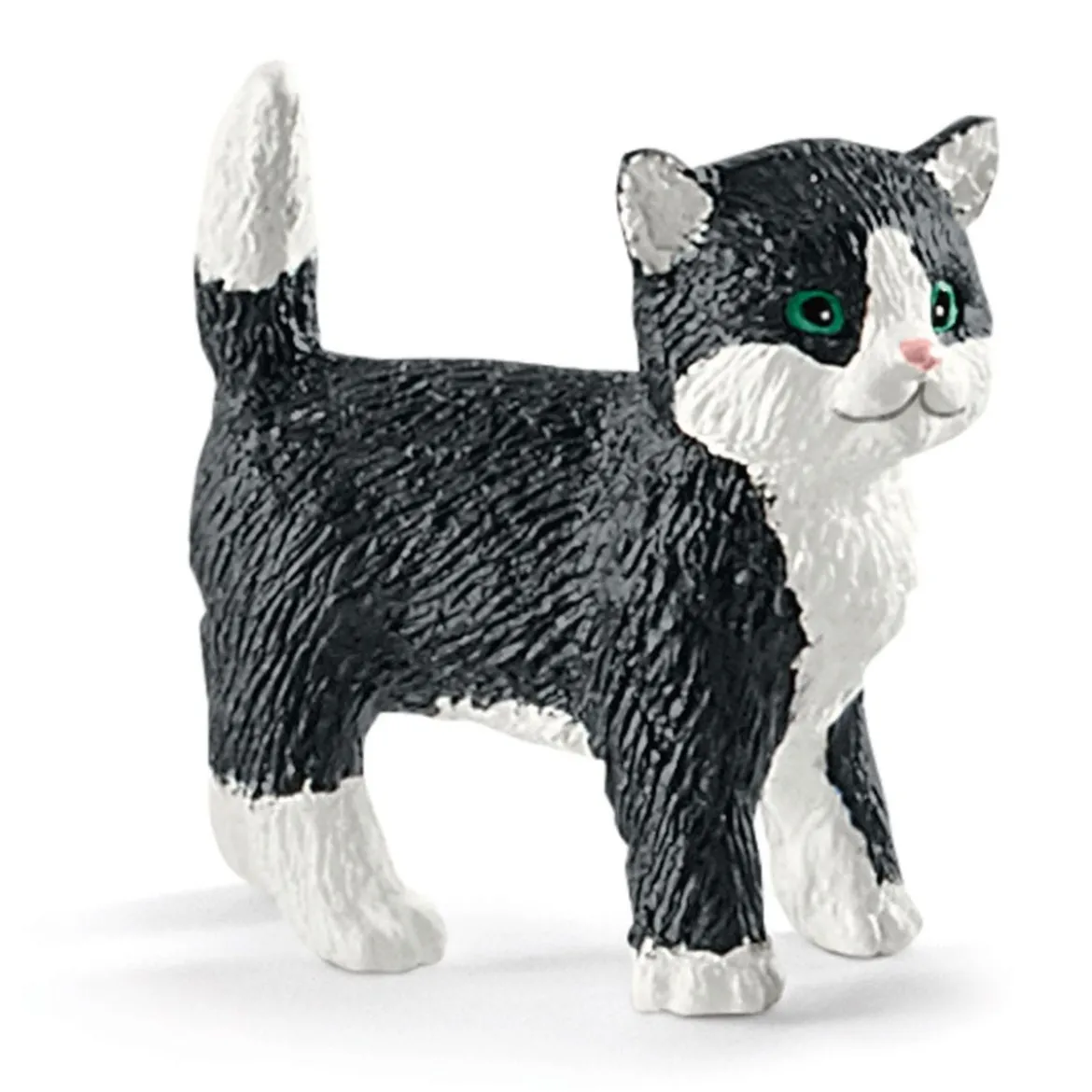 Divertissement pour chats mignons