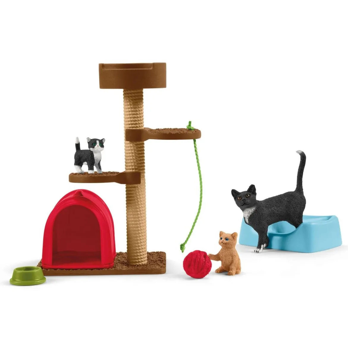 Divertissement pour chats mignons