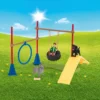 Divertissement pour chiens