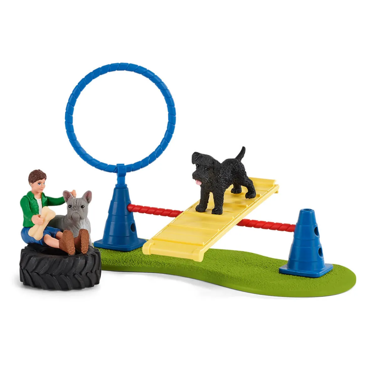 Divertissement pour chiens