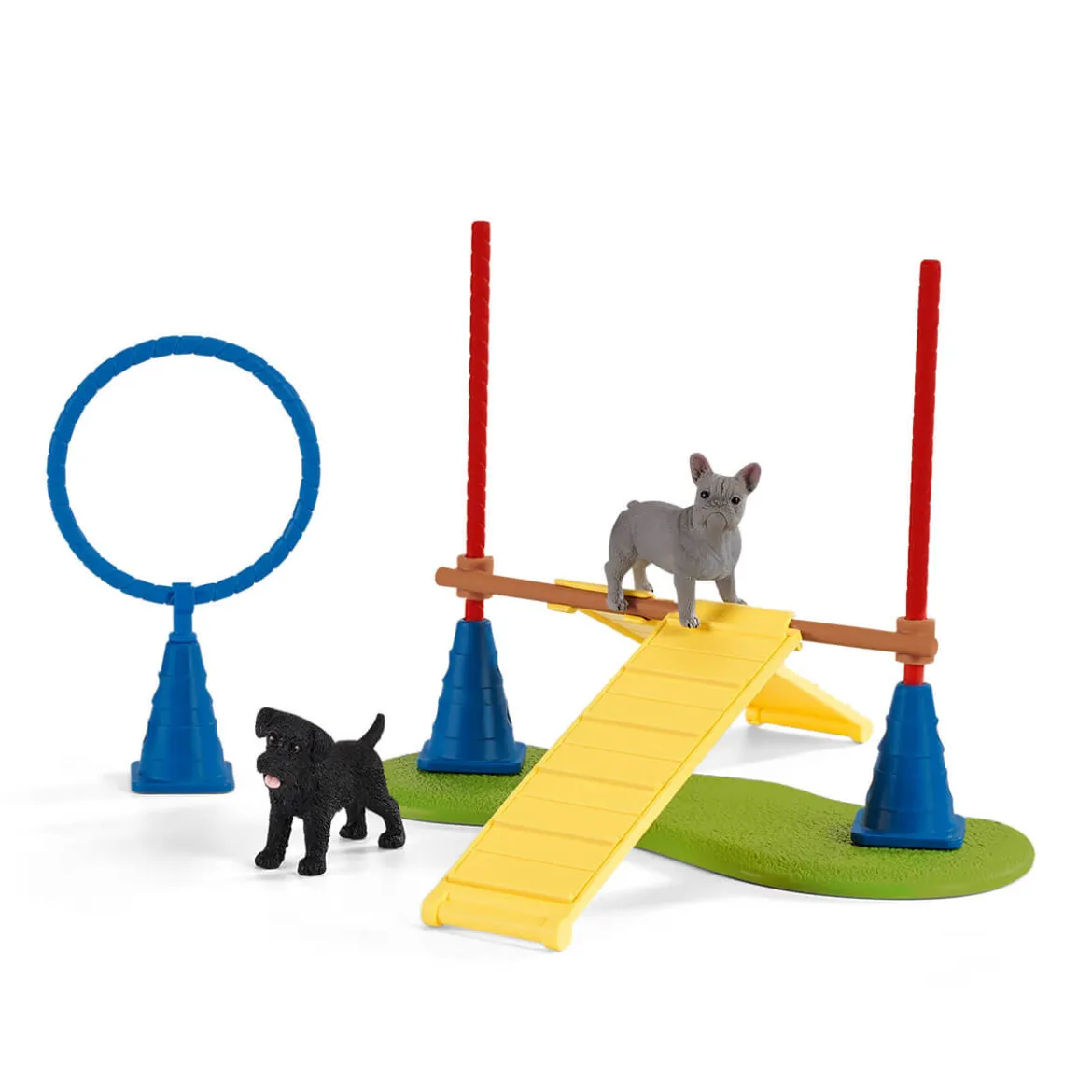Divertissement pour chiens